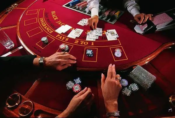 Dashboard riwayat taruhan bola togel menampilkan detail lengkap setiap permainan